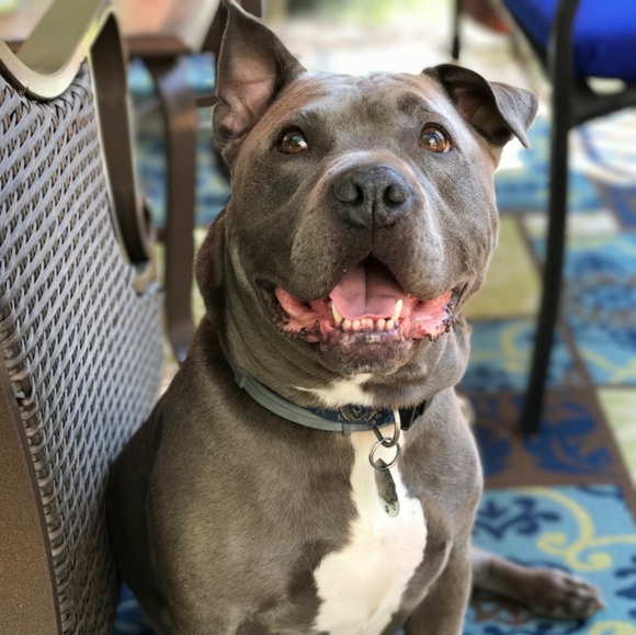 Meet your Posher, Lisa - Picture 2 of 7